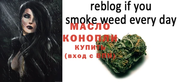 хмурый Елизово
