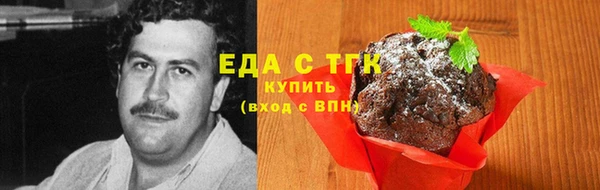 спиды Ельня