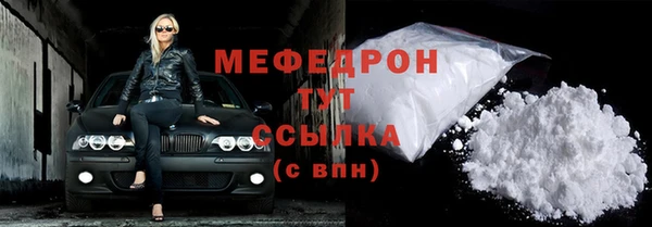 спиды Ельня