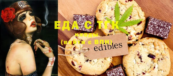 спиды Ельня