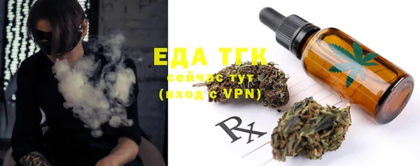 спиды Ельня