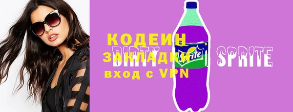 хмурый Елизово