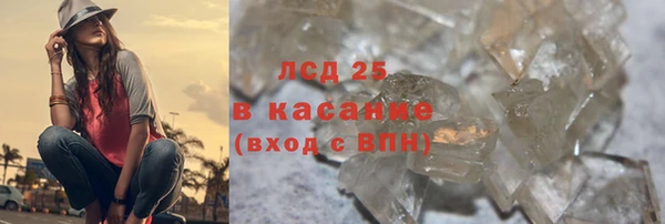 спиды Ельня
