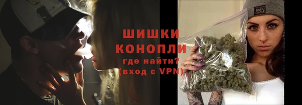 спиды Ельня