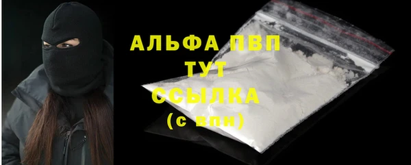 спиды Ельня