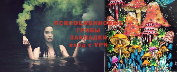 меф Заводоуковск