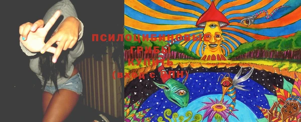 спиды Ельня