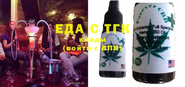 спиды Ельня