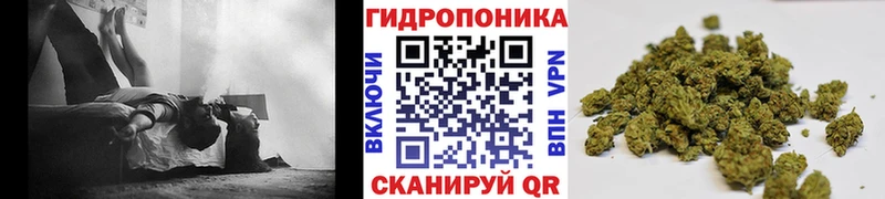 Бошки Шишки тримм Купить где Карачев